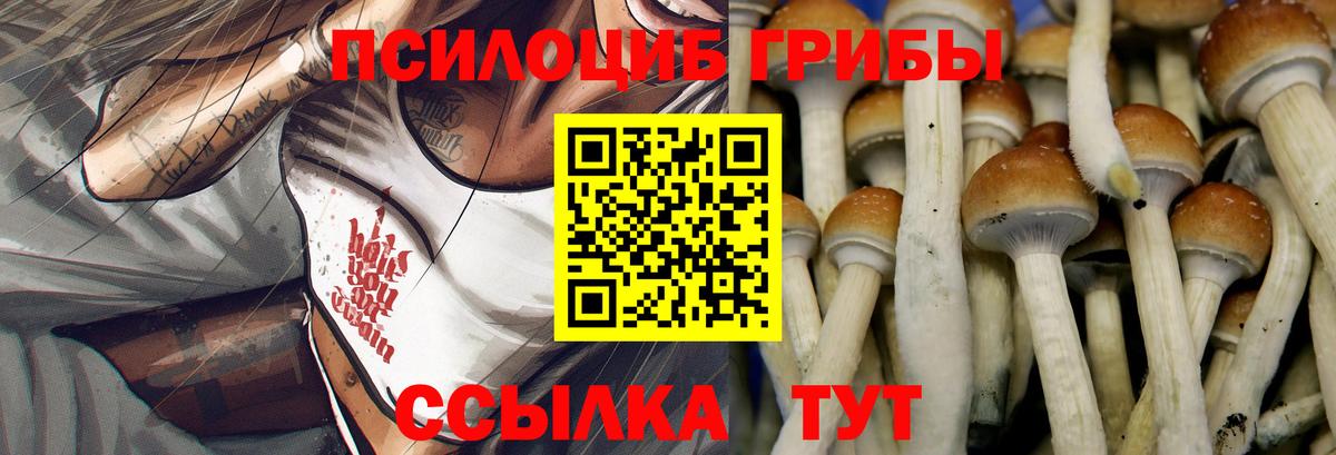 Галлюциногенные грибы Psilocybine cubensis  Вход с VPN  Южноуральск 
